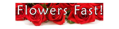 flowersfast.com Logo